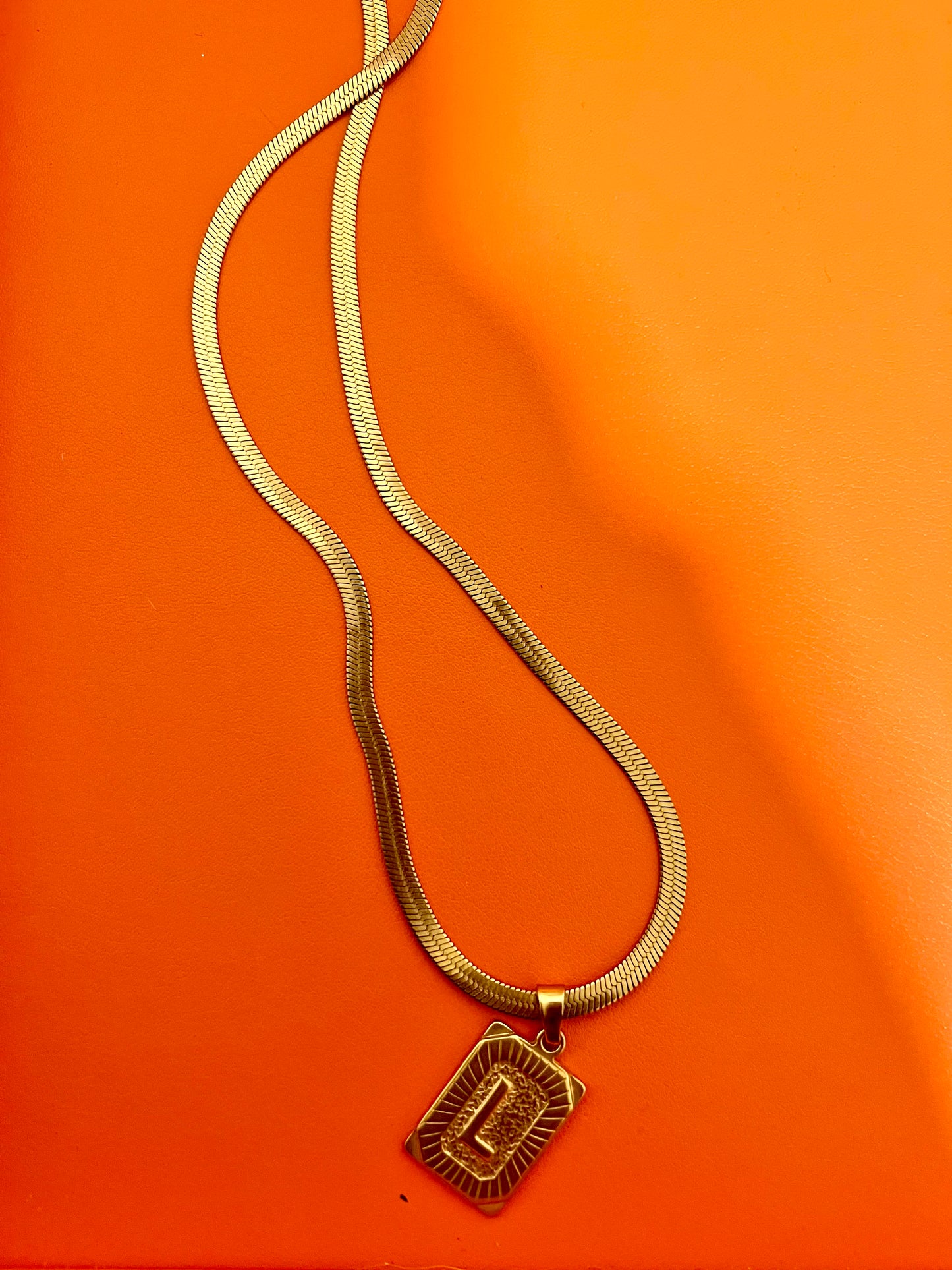 Initial Pendant (Lrg) with Herringbone Necklace